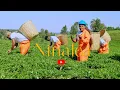Download Lagu NINALEA _MIRIAM SAMUEL (official Video) Sms 👉Skiza 59610497 to 811