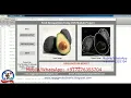 Fruit Recognition Using CNN Matlab Project With Source Code Fruit Detection Using CNN Matlab Code