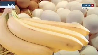 Фитнес урок 10 04 19