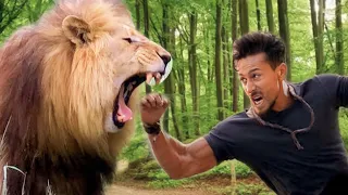 عايش وسط اسود وغابات بيهجم عليه اسد مفترس من وحوش الغابه وآكل اخوه قدامه ف اتحول لوحش وهاجم الاسد 