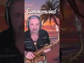 Download Lagu Sommerwind, One Way Wind, Flippers, Cats, Saxophon - Cover