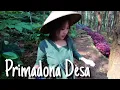 Download Lagu PRIMADONA DESA -  RHOMA IRAMA || COVER Sofian Wales