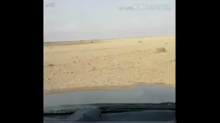 ليه ماخبروني دندنها