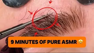 9 Minutes of INSANELY Satisfying ASMR Eyebrow Grooming & Trimming (So Clean!)