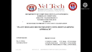 Plant Disease Recognition Using Deep Learning Approach