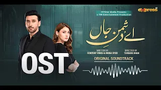 ay dushman e jaan full ost ft sami khan hina altaf singer shahmeer shazil express tv