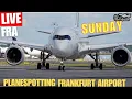 Download Lagu 🔴Live Sunday Planespotting Frankfurt Airport 07 Betrieb #airplanes