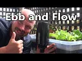 Download Lagu Simple, Cheap DIY Hydroponics  Ebb and Flow Growing System