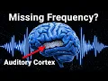 If your Tinnitus is RINGING all the time Your brain is lacking this frequency