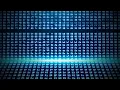 Blue Programming HEX Code Stock Motion Graphics