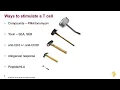 Download Lagu Modeling anti-tumor function of human T cells