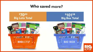 Everyday Essentials for LESS at Big Lots