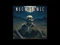 Download Lagu Fuzzy Circuits - Necrosonic (Full Album 2025)