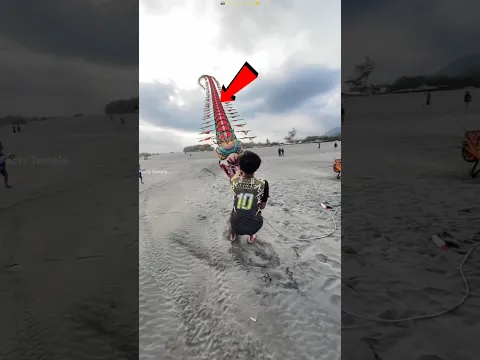 The Giant Kite That Almost Pulled Him Away! 😱🪁 #Shorts #facts
