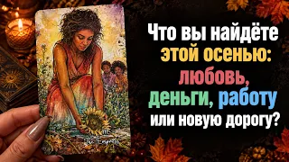 Что вы найдёте этой осенью: любовь, деньги, работу или новую дорогу? Гадание Tarot cards расклад 