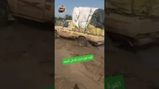 عز يامال العز 