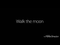Walk the moon|Timebomb Lyrics