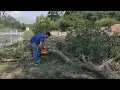 Central Valley cleaning up after storm causes downed trees power outages