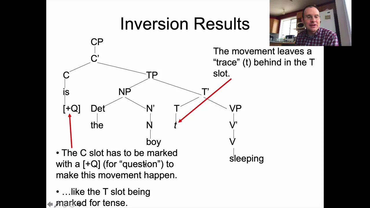 Ling 201 - Intro Linguistics - Syntax 5, Part 2
