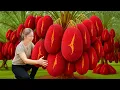 Harvesting Rare Red Jackfruit From Strange Giant Tree jackfruit sticky rice | SOLD OUT in Minutes
