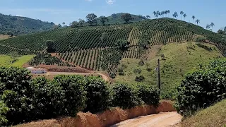 Mata do Sino MG