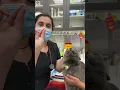 How to Give a Cat Oral Medication - Yonge Sheppard Animal Hospital