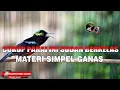 Download Lagu CUKUP INI SUDAH BERKELAS MATERI SIMPEL GANAS KOLIBRI NINJA !! MASTERAN DAN  PANCINGAN KONIN