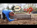 I WISH I Knew These RAISED BED Mistakes Sooner