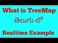 What is TreeMap in java Telugu