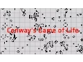 PROJECT Conway s Game of Life made with Java