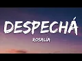 Download Lagu ROSALÍA - DESPECHÁ (Letra/Lyrics)