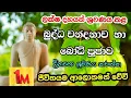 Download Lagu බුද්ධ වන්දනාව හා බෝධි පූජාව/BUDDHA WANDANAWA HA Bodhi PUJAWA