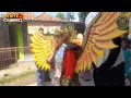 Download Lagu SINGA DANGDUT TERBARU \