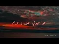 زينة عماد ميدلي