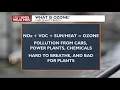 Ozone Explainer
