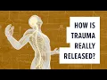 Download Lagu How is Trauma REALLY Released?