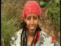 OROMO, Ambulii tiyya Badhaane Burqa