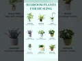 Top 9 Bedroom Plants for Healing Best Indoor Plants for Sleep Relaxation Clean Air