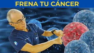 El Alimento Científico para Frenar el Daño Celular y Proteger tu ADN 🥦🧬