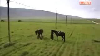 اكتر حاجه توجع حسين الجاسمي دندنها