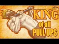 Virtually ALL Back Muscles in 1 Pull Up The Gironda Pull Up