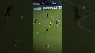 هدف فالفيردي الصاروخي امام نابولي قبل قليل 