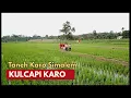 Download Lagu Taneh Karo Simalem  | Instrumen Kulcapi