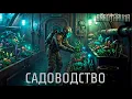 Barotrauma