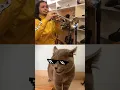 Download Lagu Most Viral Cat Song 🙀😹 #cat