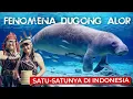 Lagu Eps 51 - RITUAL MEMANGGIL DUGONG di Pulau ALOR 🇮🇩 Kok Bisa?