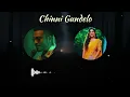 Chinni Gundelo Telugu Song | Reverb + Underwater Bass Effect