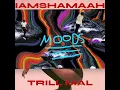 ISLAND GYAL (feat. iAmShamaah)