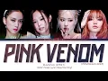 Download Lagu [COACHELLA 2023] BLACKPINK - ‘Pink Venom’ || Color Coded Lyrics