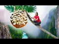 Download Lagu Harvesting Chicken feet Mushroom Goes to Market Sell | Great for Digestion | Linh - Free Bushcraft